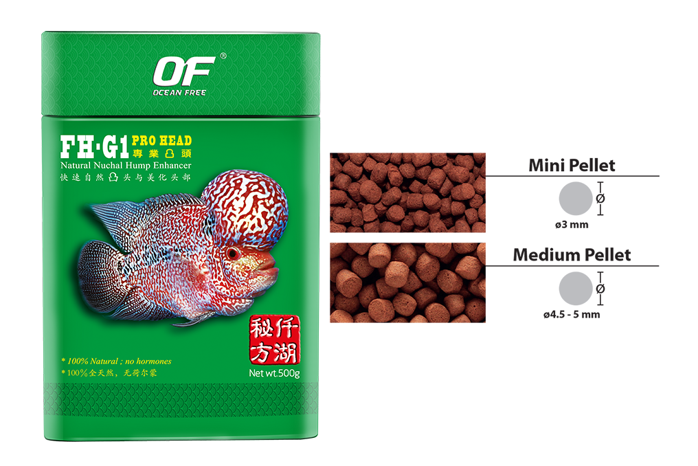 OF® PRO SERIES FH-G1 (Pro Head)