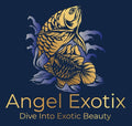 Angel Exotix Aquarium