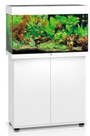 Juwel Rio 125 LED Aquarium - White