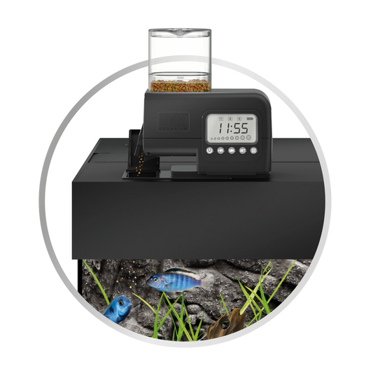 SmartFeed 2.0 - premium automatic feeder