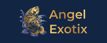 Angel Exotix Aquarium
