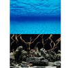 18" SEASCAPE/NATURAL MYSTIC BACKGROUND