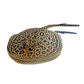 Motoro Stingray