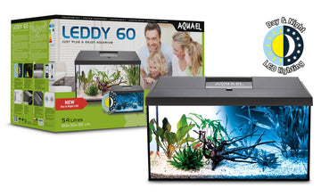 LEDDY DAY&NIGHT