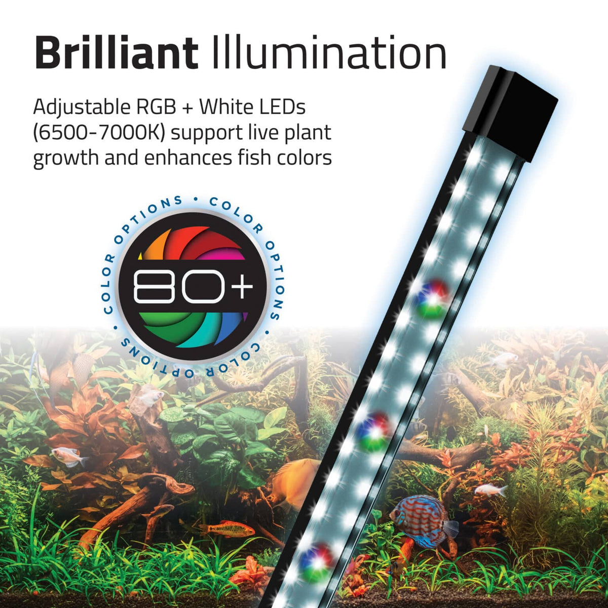 Fluval Flex 2.0 Aquarium Kits - 34 / 57L