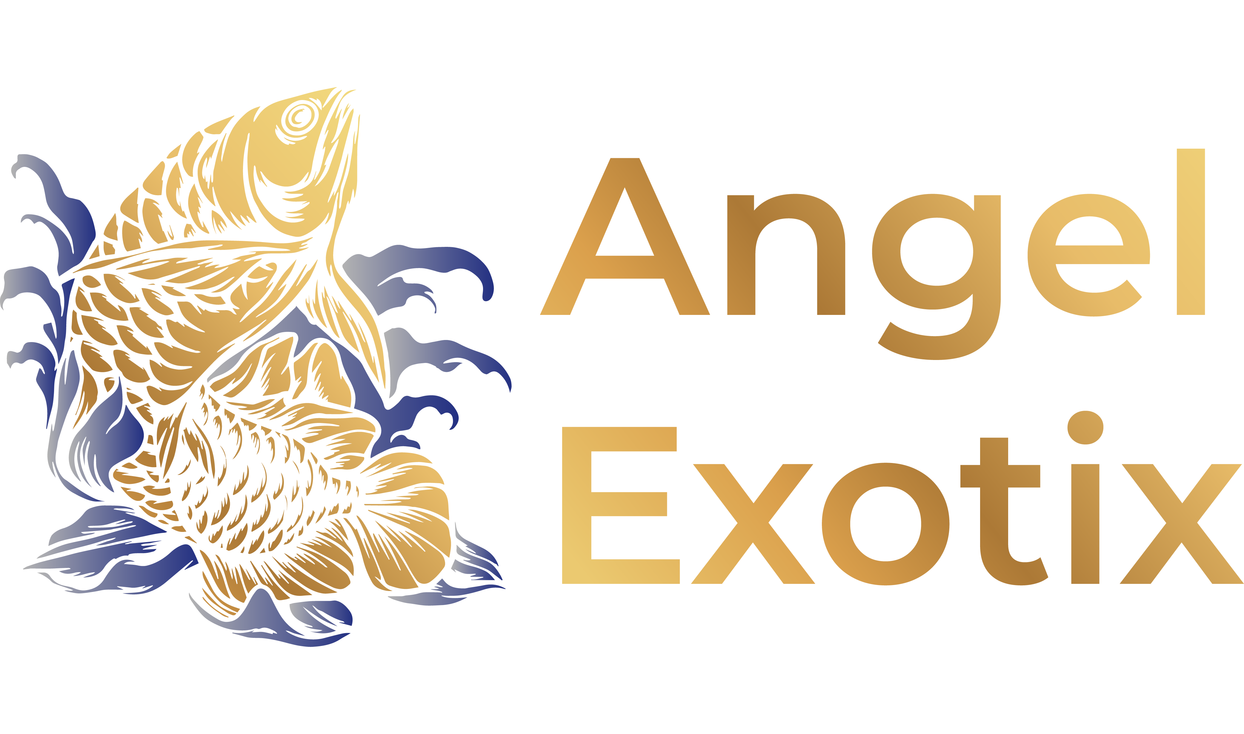 Angel Exotix Aquarium