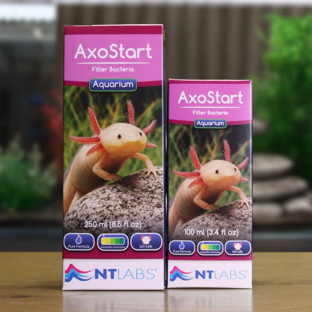 AxoStart - Axolotl Filter Bacteria
