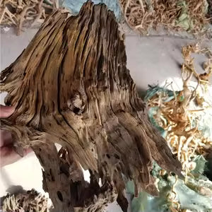 MANGROVE WOOD XX LARGE 50-65CM