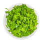 Hydrocotyle tripartita