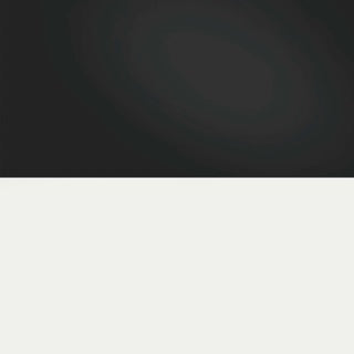 Juwel Poster 3 Black & White Background - XL