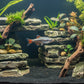 A small silver fish with red and black fins swimming horizontally above black gravel against a solid black background.