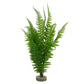 Plastic / Silk Plants