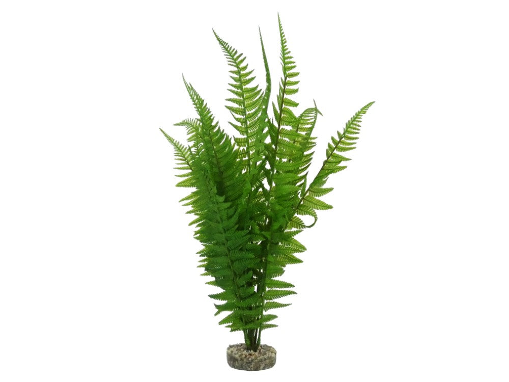 Plastic / Silk Plants