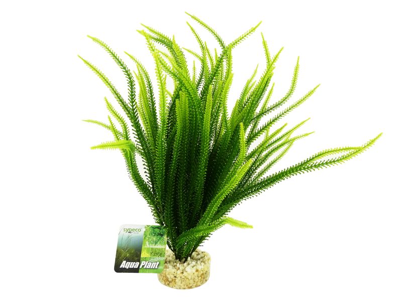 Plastic / Silk Plants
