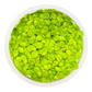 Spirodela polyrrhiza ( Duckweed )