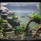 Two live rainbow fish (likely tetras or similar aquarium fish) swimming in a green aquatic environment. The fish have a silver body with a bright vertical rainbow stripe, a red band near the tail, and translucent fins.