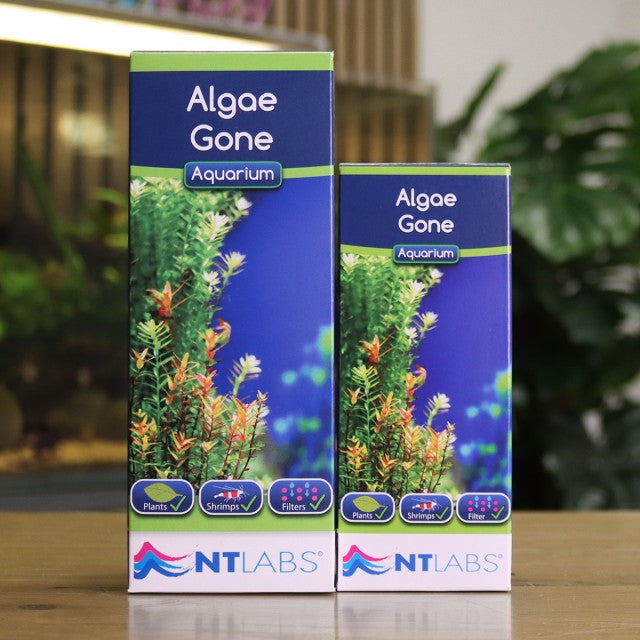 NT Labs - Algae Gone