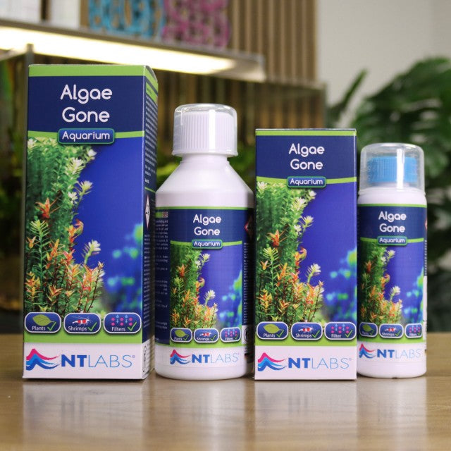 NT Labs - Algae Gone