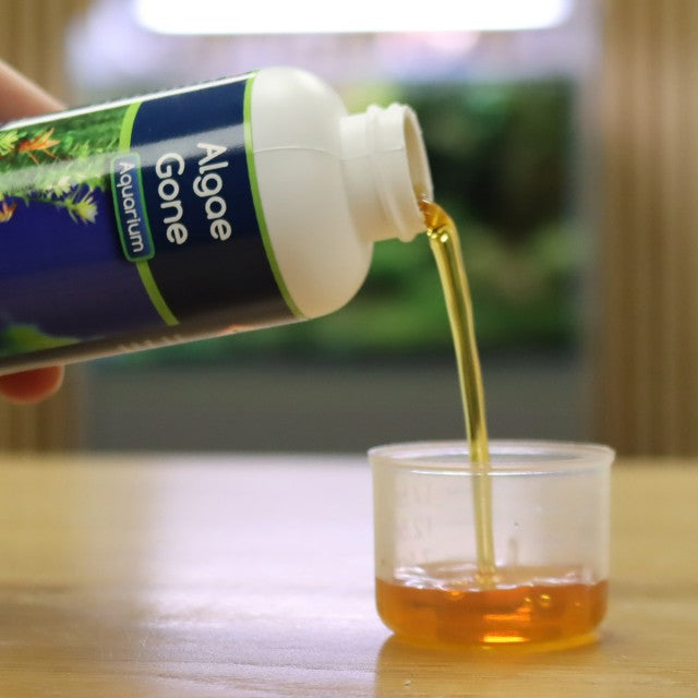 NT Labs - Algae Gone