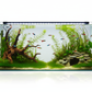 Aquarium tank with white color background
