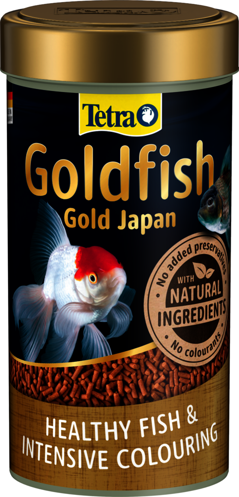 Tetra Goldfish Gold Japan
