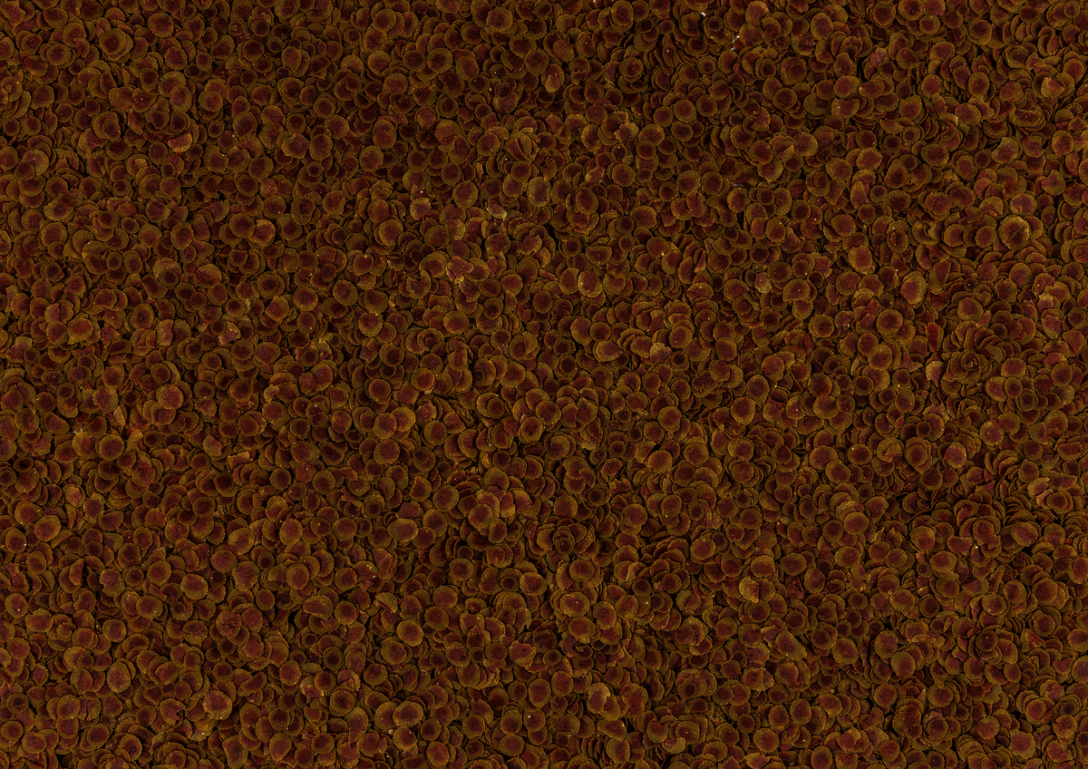 Tetra PRO Colour