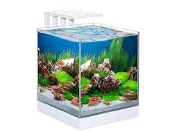 Ciano Nexus Pure 25 Cube Aquarium With LED Light