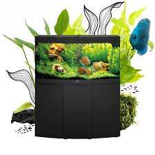 Juwel Vision 260 LED Aquarium - Black