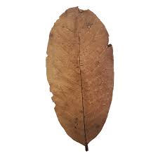 Betta Choice Guava Leaves 