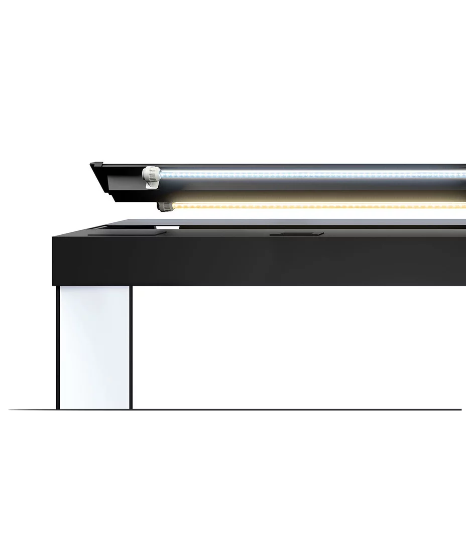 Juwel Rio 350 LED Aquarium
