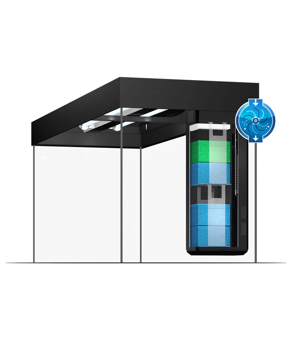 Juwel Rio 350 LED Aquarium