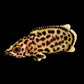 LEOPARD BUSHFISH