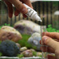 NT Labs Test Kits - Phosphate