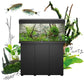 Juwel Rio 300/350 SBX Cabinet