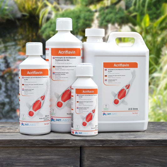 NT Labs Koi Care Acriflavin